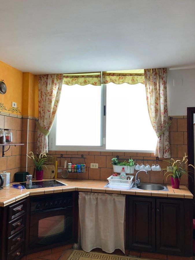 Loft Rural Apartment Tegueste